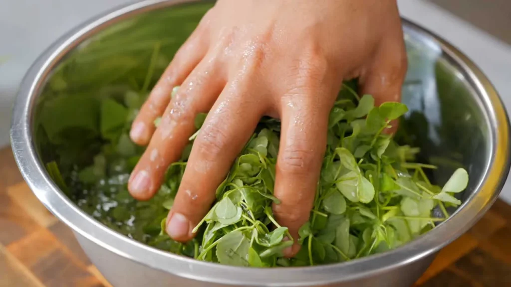 Washing Methi (fenugreek) for Aloo Methi Paratha 